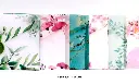 _MG_0487.webp